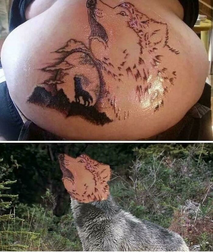 Lo encontré en Instagram. Esto hace que aprecie todos mis tatuajes