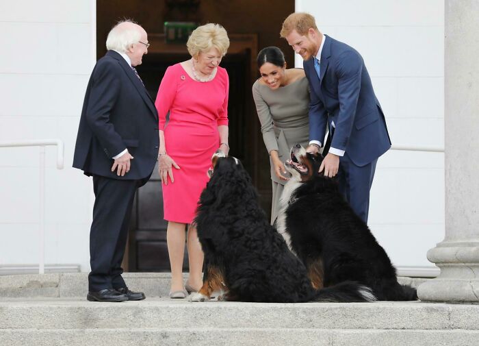 Os presentamos a Bród y Shadow, los dos guardaespaldas del Presidente de Irlanda