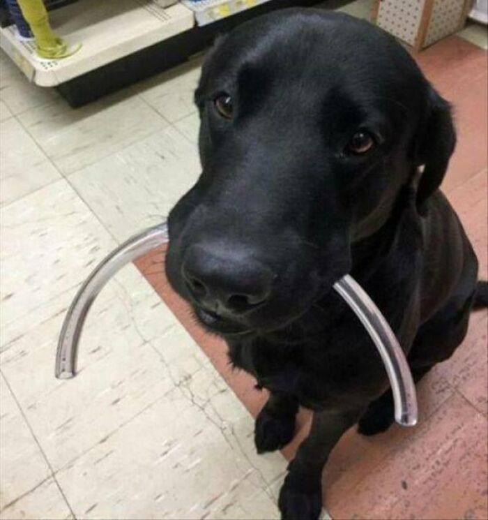 ¡El chico más bueno con el mejor trabajo!