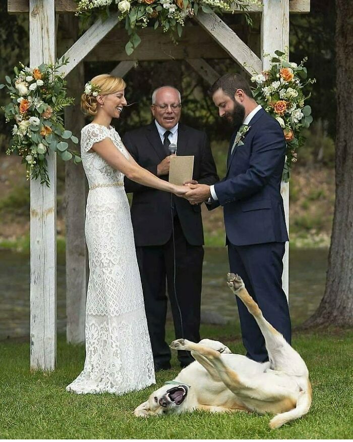Alguien no se está tomando la boda en serio