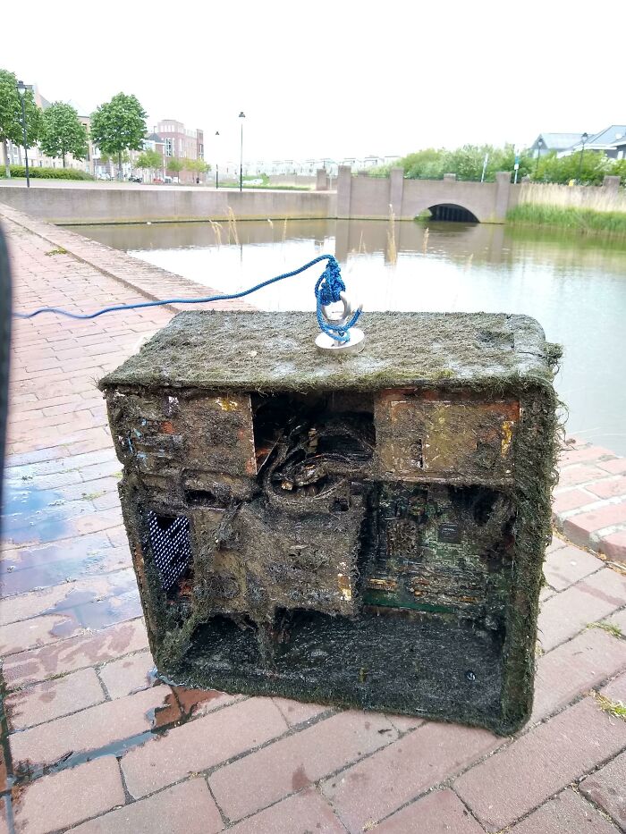 ¡Acabo de atrapar una computadora entera!