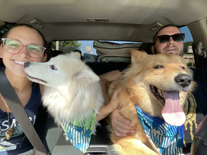 Fuimos a adoptar un perro y nos quedamos con los dos, ¡no podemos separar a los hermanos!