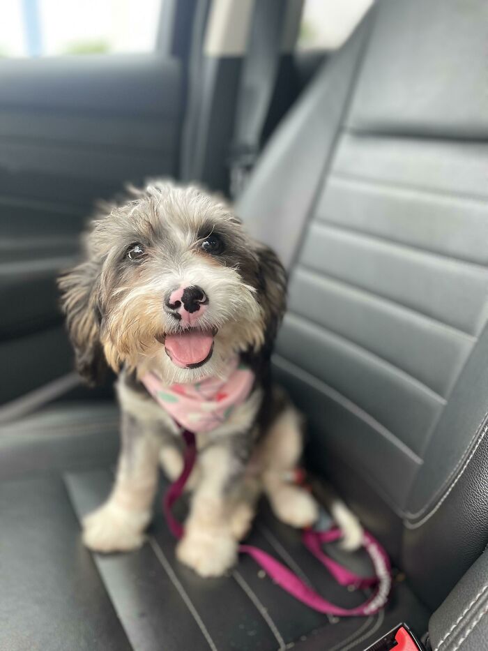 La gran sonrisa de Bonnie en el día de su adopción