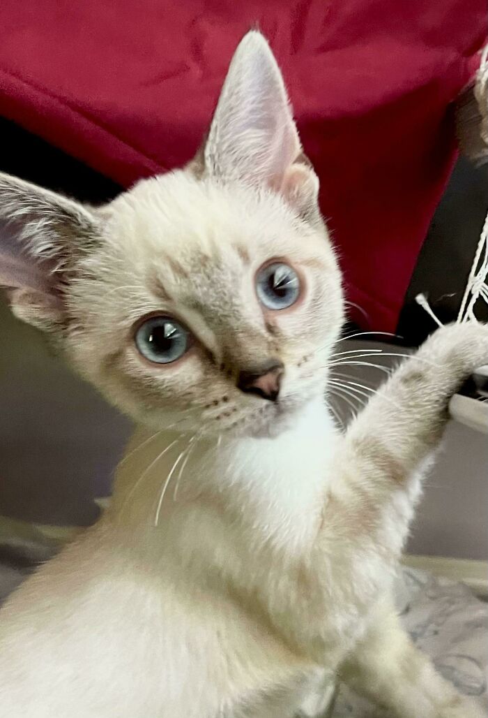 Murph encontró su hogar definitivo