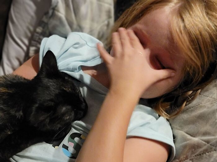Las lágrimas de felicidad de mi hija esta noche, cuando nuestro esquivo gato adoptado hizo una rara aparición en público para acurrucarse con ella