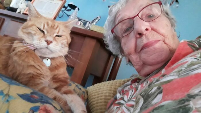 A mi abuela de 90 y a su gato de 23 años les encanta mandarme selfies de buenas noches