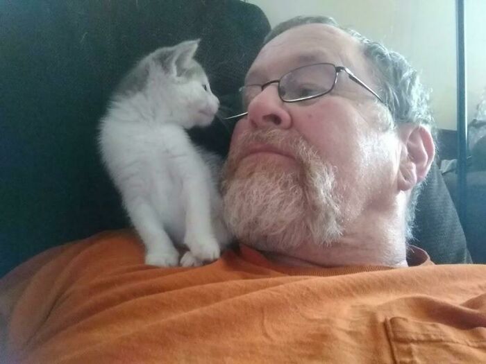 A los 62 años, decidí superar mi fase de “No me gustan los gatos”. Este es el resultado