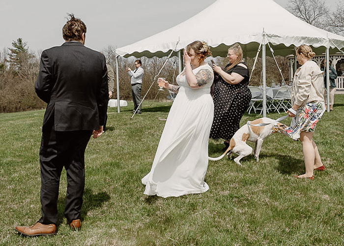 Este perro hizo photobomb en la boda de sus dueños, y la gente comparte fotos similares
