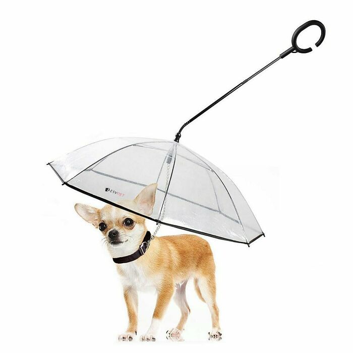 Sombrilla para perro