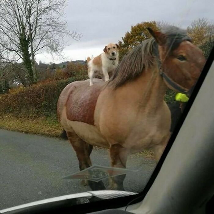 50 Confusing And Funny Photos Without Any Context, As Shared By This Instagram Page