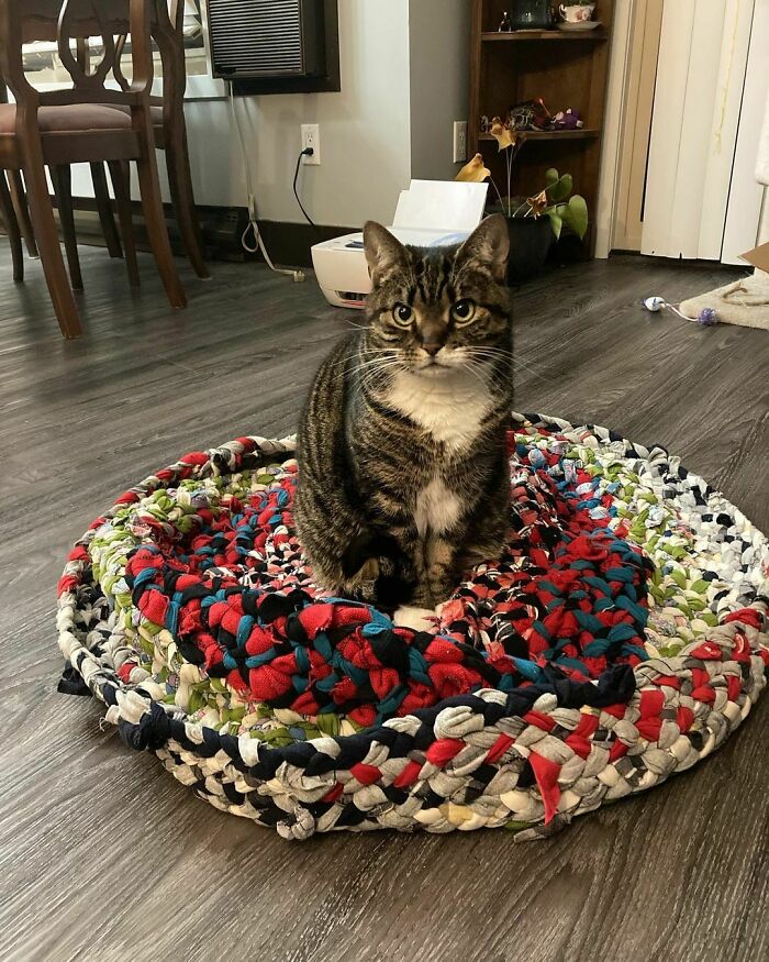 Alfombra fallida. No la cosí en una superficie plana, así que no pude ver que estaba envolviendo cada ronda con demasiada fuerza, y ahora no queda plana. Al menos al gato le gusta.