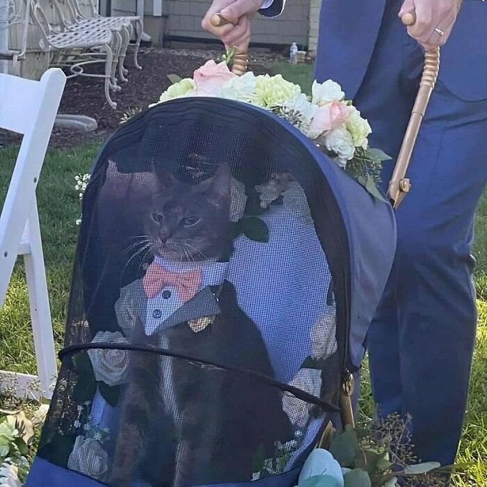 50 Confusing And Funny Photos Without Any Context, As Shared By This Instagram Page