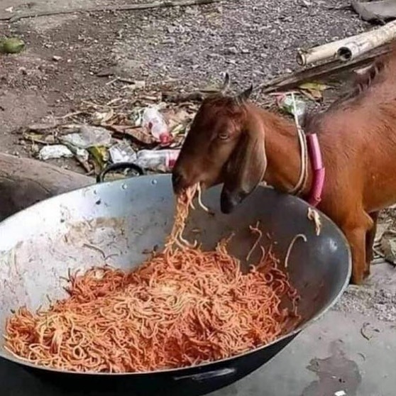 50 Confusing And Funny Photos Without Any Context, As Shared By This Instagram Page