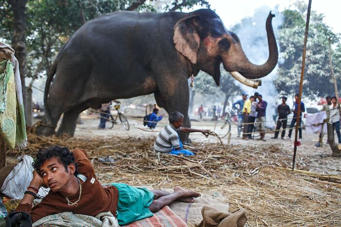 Scientist-Turned-Photographer Takes Pictures Of Ironic Everyday Moments (30 Pics)