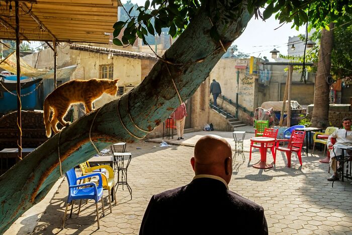 Scientist-Turned-Photographer Takes Pictures Of Ironic Everyday Moments (30 Pics)