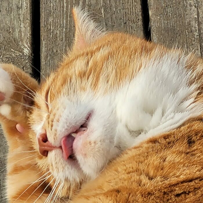 Está muyyy dormido