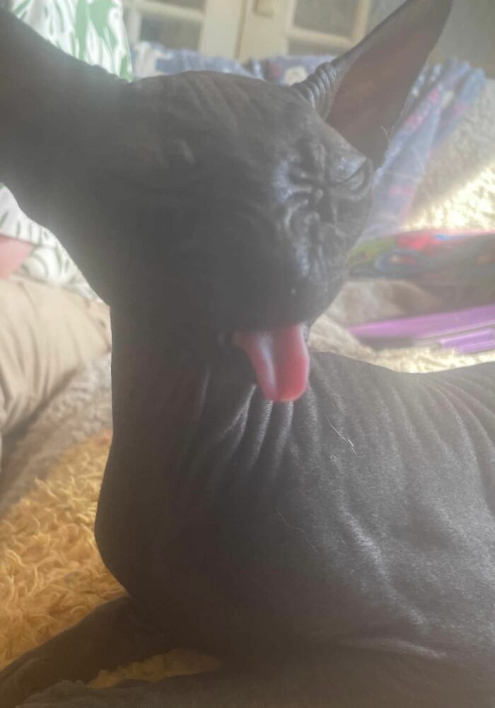 ;p