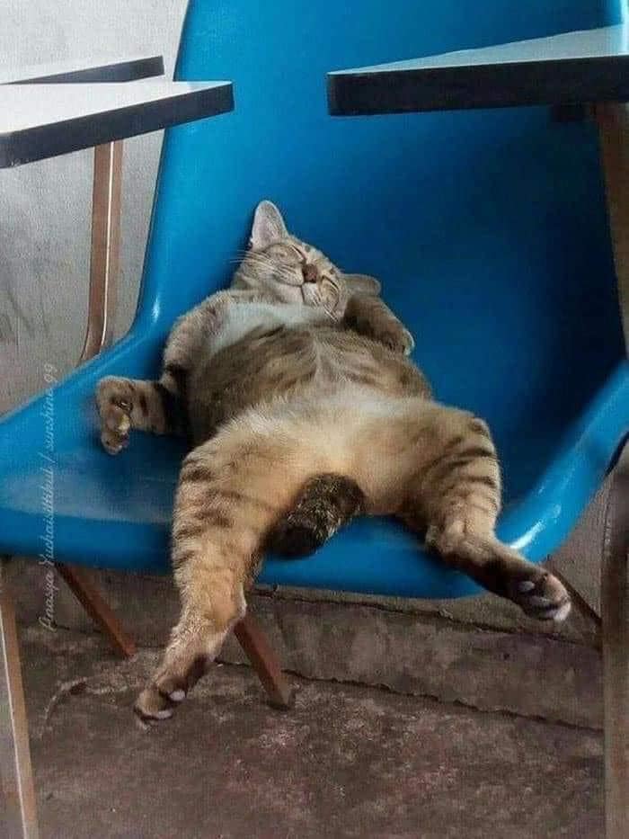 Un sábado para dormir zzzzzzz zzzzz