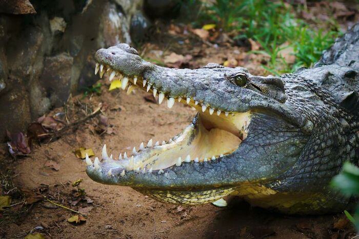 50 Of The Most Disturbing Facts About The World That Might Freak You Out, As Shared By This TikToker