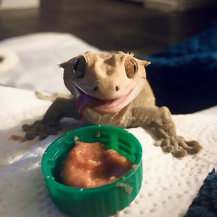 Cuando saboreas el puré de sandía y mango