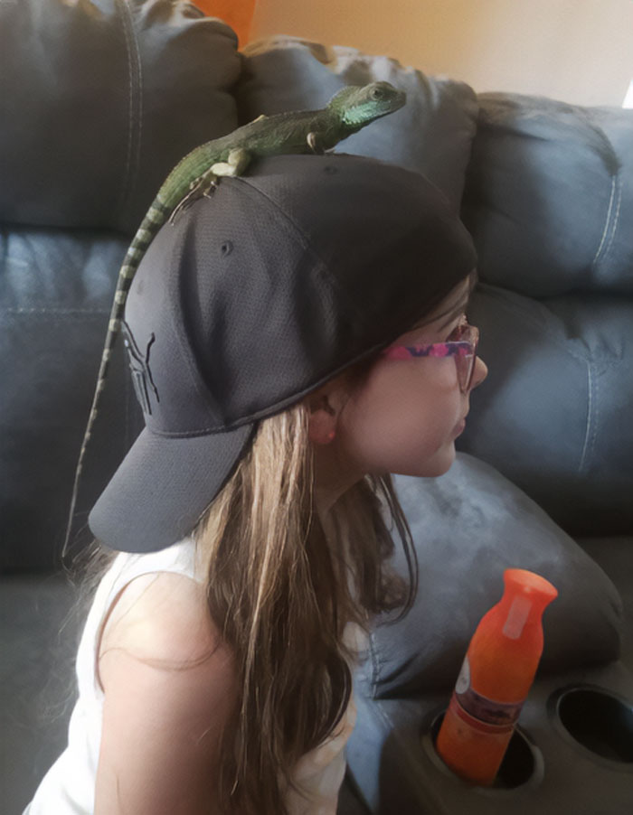 Trajimos al lagarto para que pasara menos tiempo frente a una pantalla