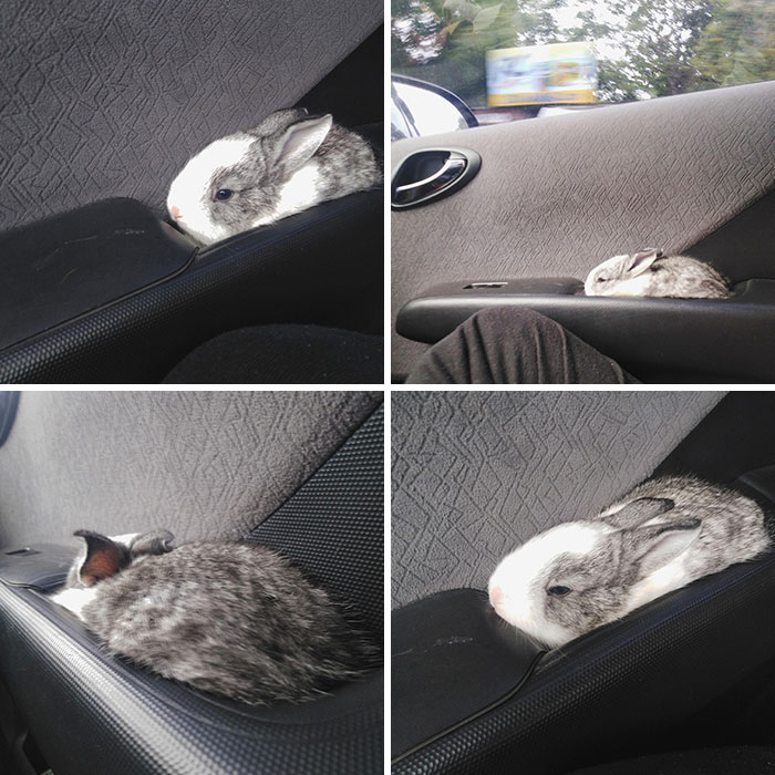 ¡Espacio dedicado para cuando se va a dar un paseo en coche!