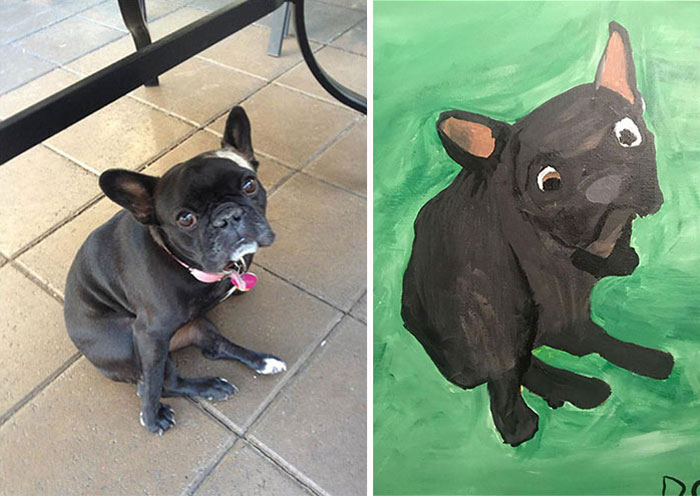Mi novio pintó a nuestro perro