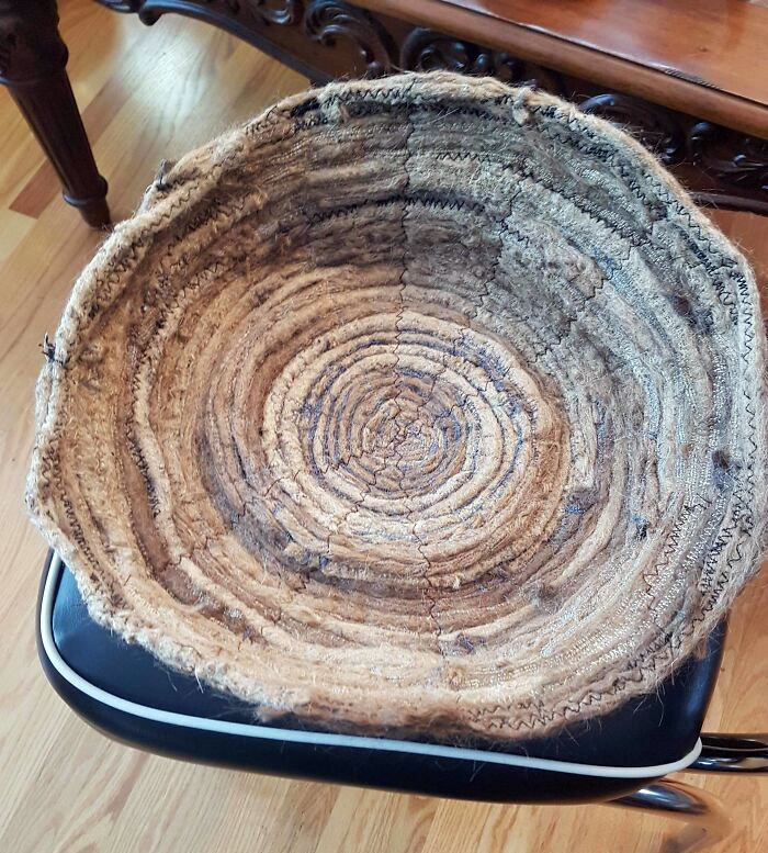 A mi amigo le cortaron las rastas y su madre las convirtió en una cama para gatos