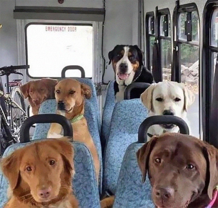 50 Confusing And Funny Photos Without Any Context, As Shared By This Instagram Page