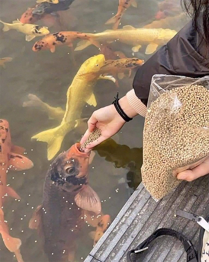 50 Confusing And Funny Photos Without Any Context, As Shared By This Instagram Page
