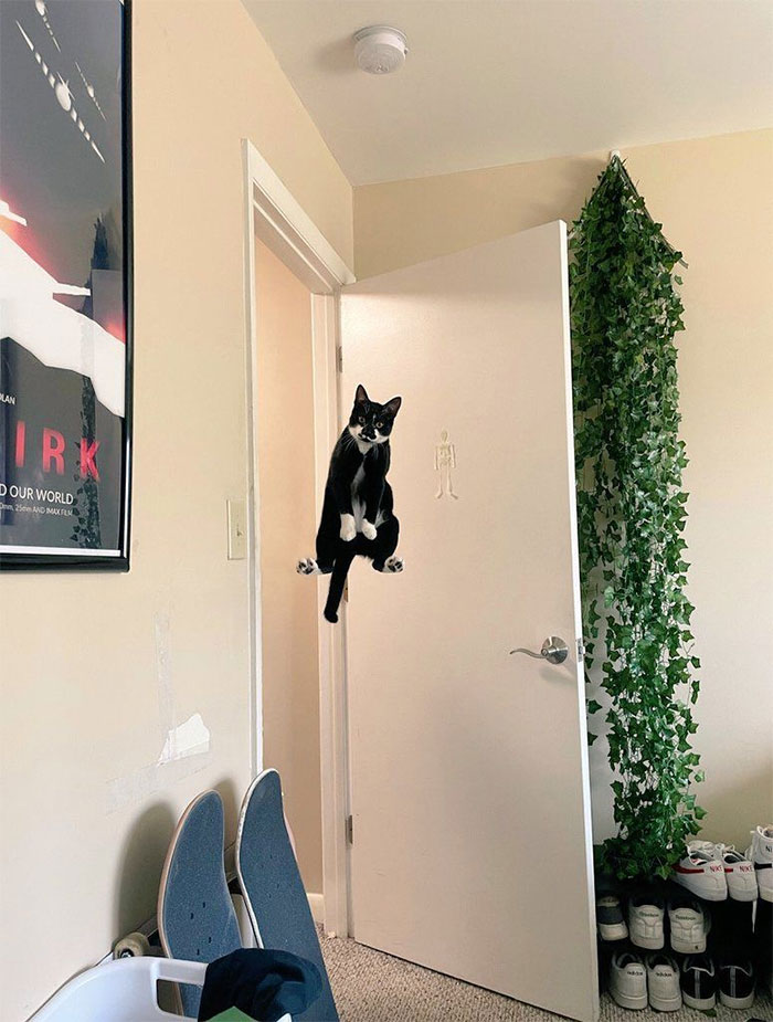 50 Confusing And Funny Photos Without Any Context, As Shared By This Instagram Page