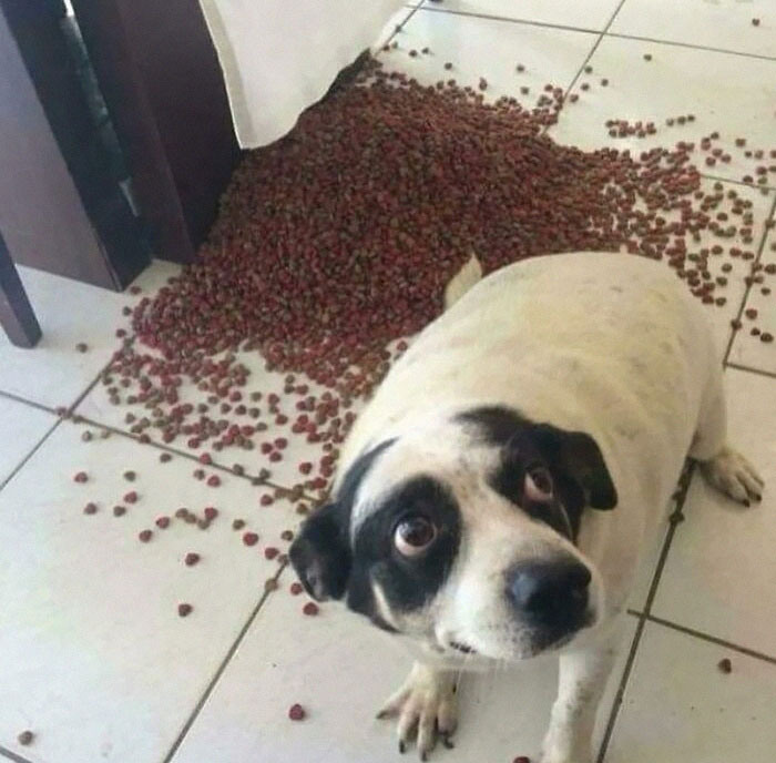50 Confusing And Funny Photos Without Any Context, As Shared By This Instagram Page