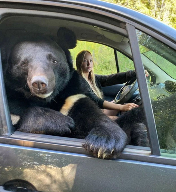 50 Confusing And Funny Photos Without Any Context, As Shared By This Instagram Page