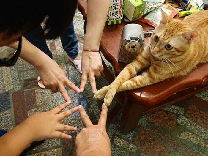 50 Confusing And Funny Photos Without Any Context, As Shared By This Instagram Page