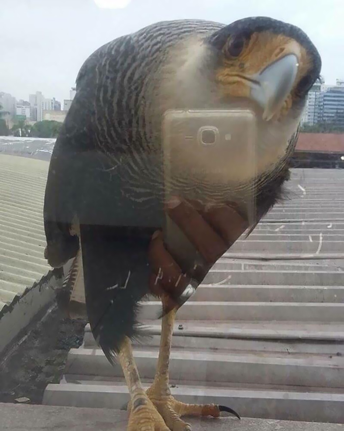 ¡Buena foto!