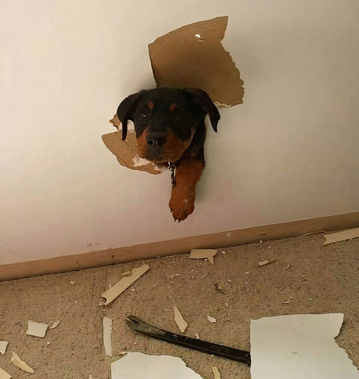 ¿Me has llamado, mami?