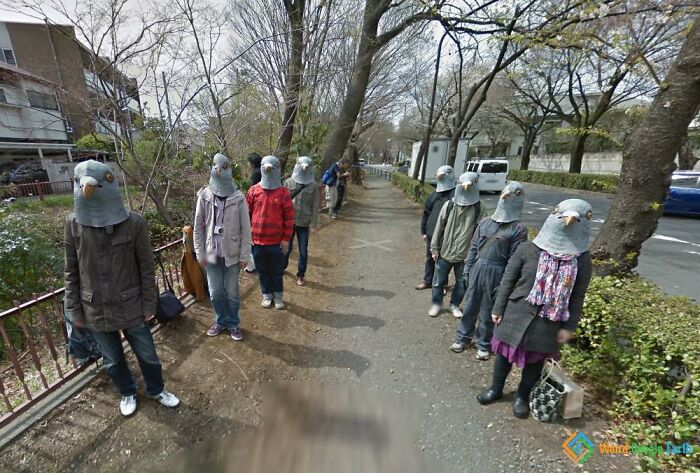 Gente pájaro japonesa, Tokyo, Japón