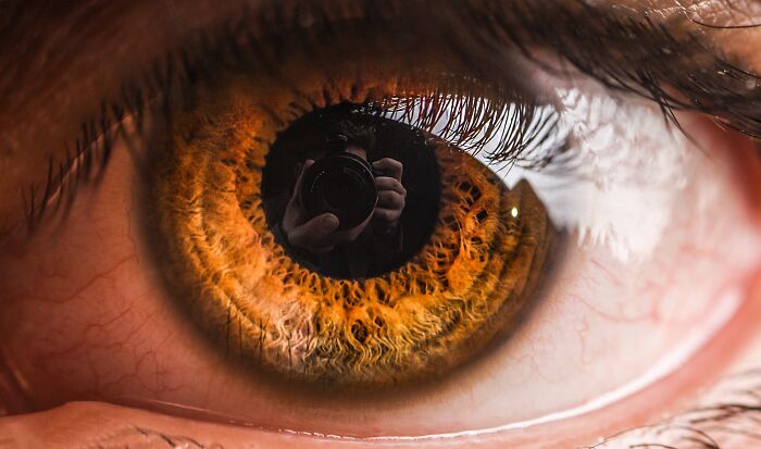 50 Of The Most Disturbing Facts About The World That Might Freak You Out, As Shared By This TikToker