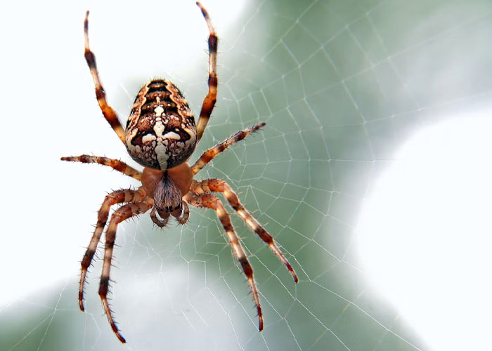 50 Of The Most Disturbing Facts About The World That Might Freak You Out, As Shared By This TikToker