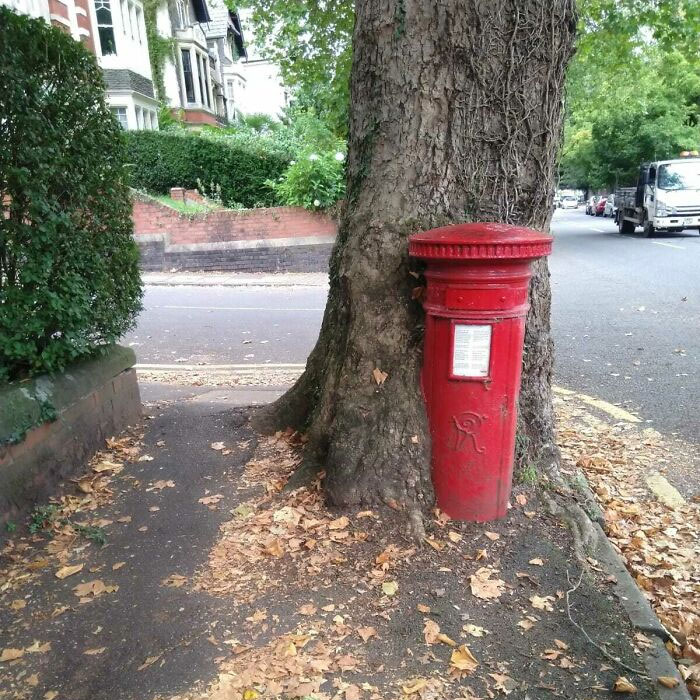 Un buzón de la era victoriana que es lentamente tragado por un árbol
