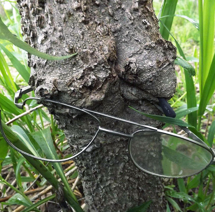 Había perdido estas gafas hacía 10 años. Aparentemente, este joven almez americano se adueñó de ellas