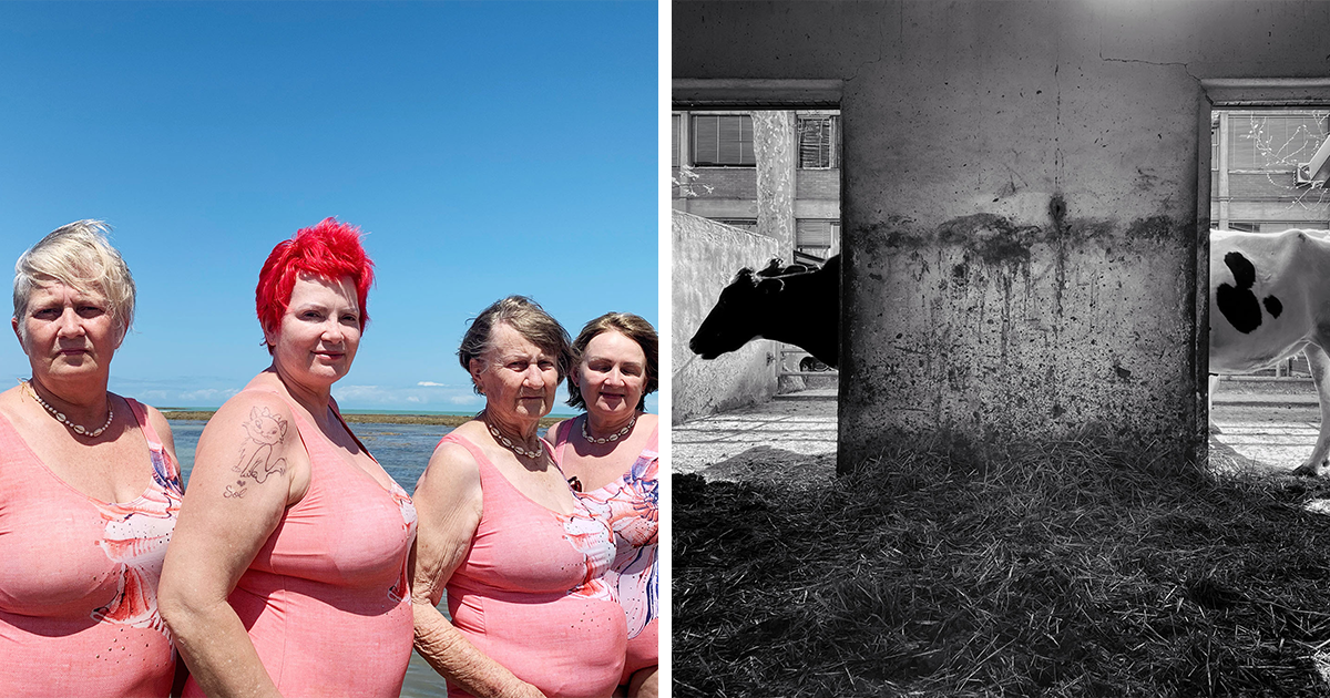 Las 30 mejores fotos del Premio de Fotografía con iPhone de 2022