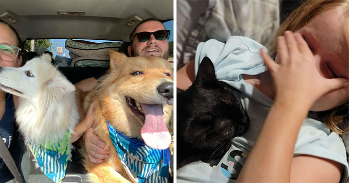 35 Reconfortantes fotos de mascotas adoptadas este mes de agosto