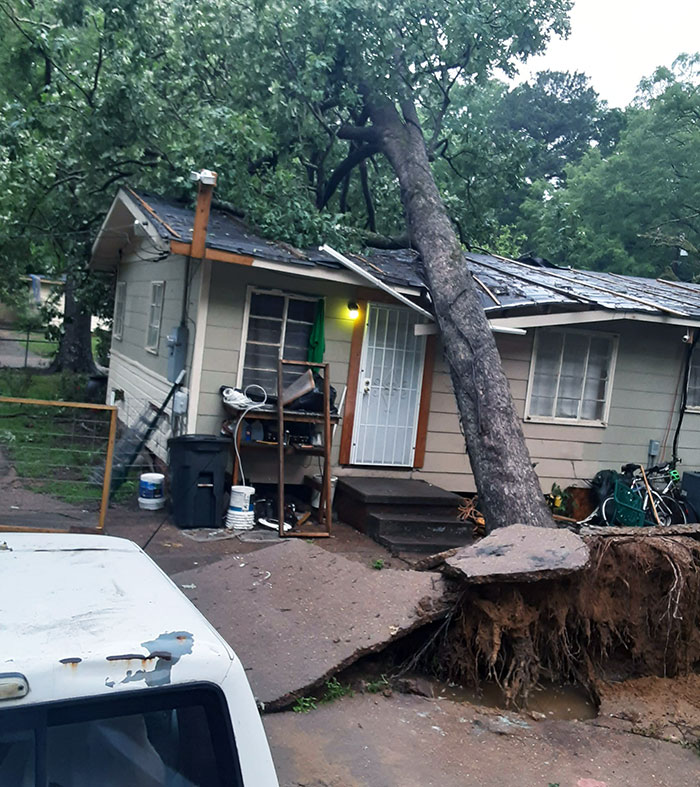 Acabo de terminar las reparaciones de otro árbol caído hace 2 semanas