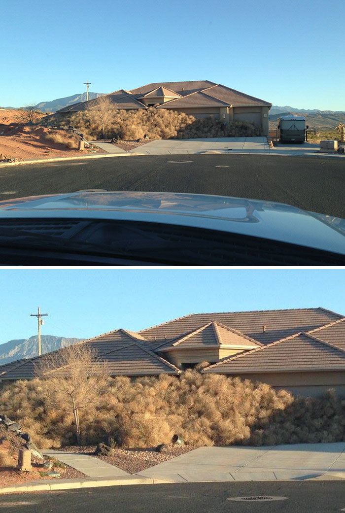 Lo que ocurre en el sur de Utah después de una tormenta de viento