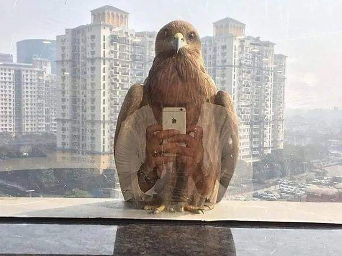 50 Times People Noticed Something Dreamlike And Shared Photos On The 