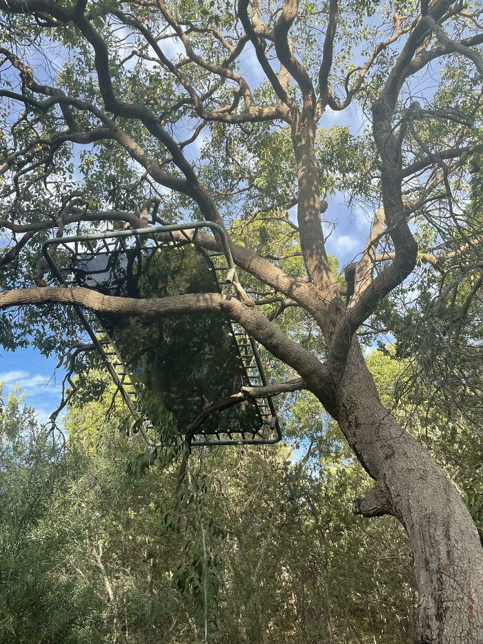 Mis vecinos tuvieron una fiesta anoche. Ese es mi trampolín