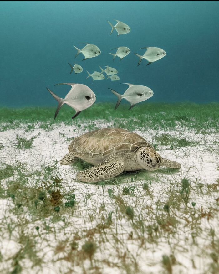Desayunando En Playa Del Carmen, México