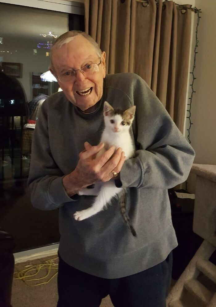 La gata de mi abuelo falleció. Él estaba destrozado y no quería reemplazarla tan rápido, pero se sentía muy solo y dejó que mi madre lo ayudara a encontrar un nuevo gatito