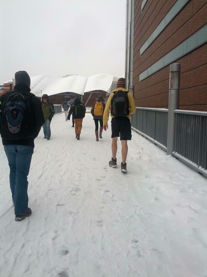 Cómo detectar a los canadienses en el campus